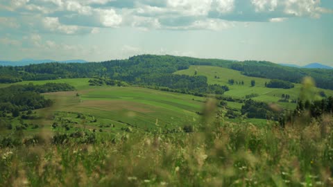 Meditate with a view - green hills with RELAXING WIND SOUNDS | ASMR breeze, birds, crickets, grass