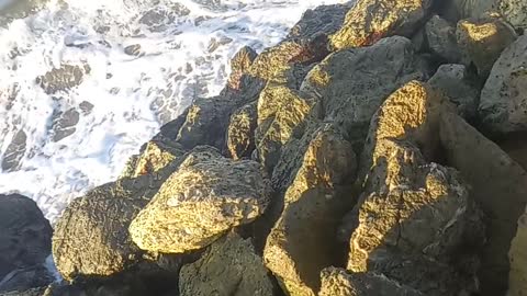 Hermosas Playas De Colombia