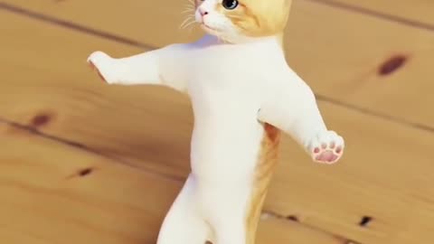 Cute cat dancing video