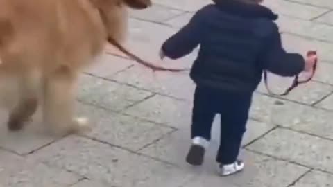 Little kid walks home with a Cute Dog!!