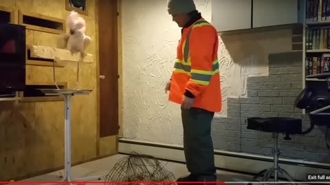 REALLY PISSED OFF BIRD CURSES OUT OWNER!