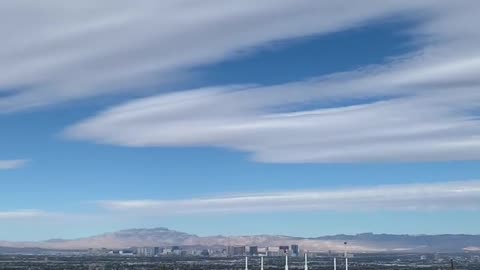 Large bird soaring over the Las Vegas skyline.