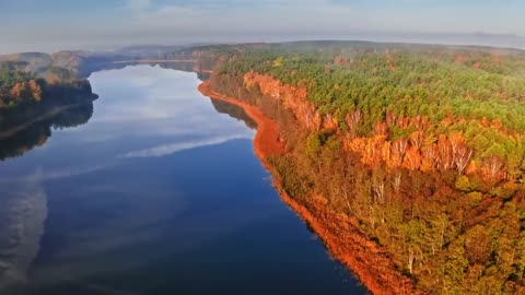 Enchanting Autumn Forests with Beautiful Piano Music