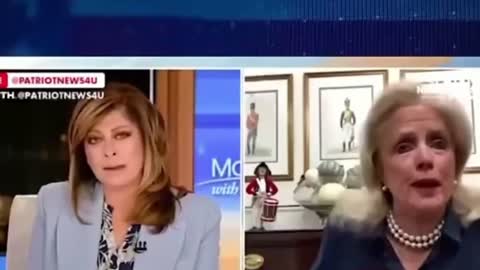 Maria Bartiromo absolutely shreds #Democrat Michigan Representative