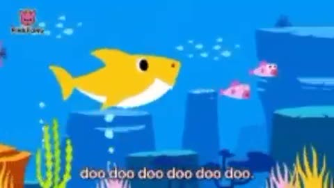 Kids Videdo shark doo doo