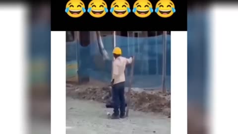 Funny videos