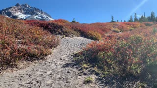 Oregon – Mount Hood – Exploring the Alpine Highland with Breathtaking Autumn Colors – 4K