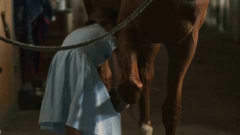 Anonymous girl in blue dress asking chestnut horse to lift leg