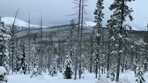 Approach to Vista Butte Summit – Central Oregon – Vista Butte Sno-Park – 4K