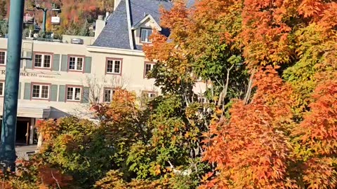 Beautiful Autumn Fall Color View in Quebec Canada