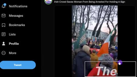 Irish Protestors Protect A Lady From Being Arrested