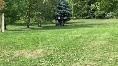 First Ride on Dirt Bike Ends in Branches