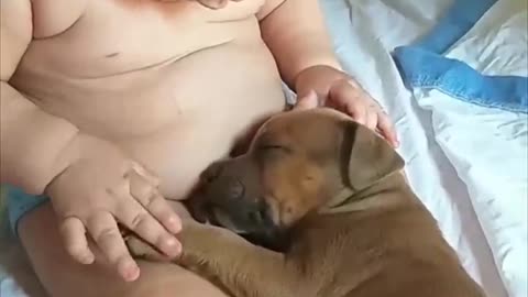 Adorable baby touches sleepy puppy as it lays in his lap