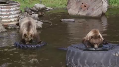 Alaska - The Last Frontier | Free Documentary Nature