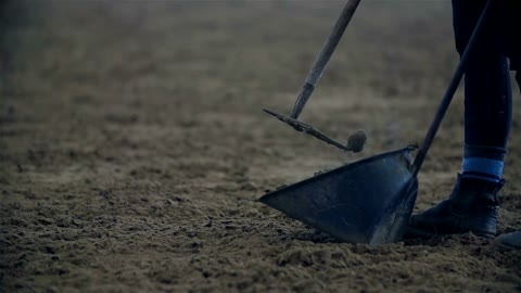 Cleaning Horse Poop from Riding Hall