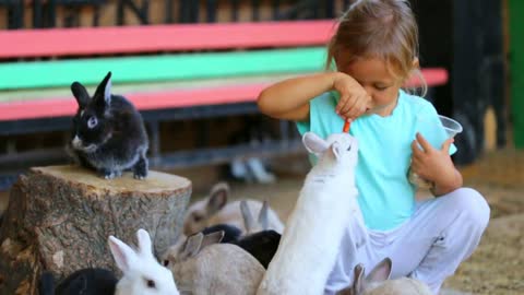 Cute child girl feeding rabbits from hands