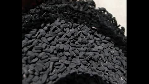 cominho preto (Nigella sativa) serve para fortalecer o sistema imunológico