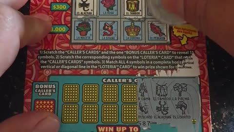 Daily Gamble for a Jackpot 022