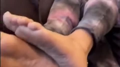 Mia khalifa feet tickled by friend