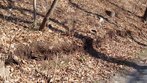 Schuylkill valley River trail