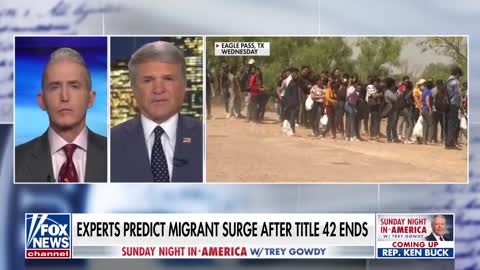 We ‘cannot sustain’ this number of migrants: Rep. Michael McCaul