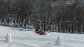 Bulldozer to Rescue