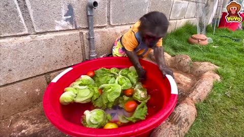 YoYo JR takes the Goat to buy vegetables to make a salad