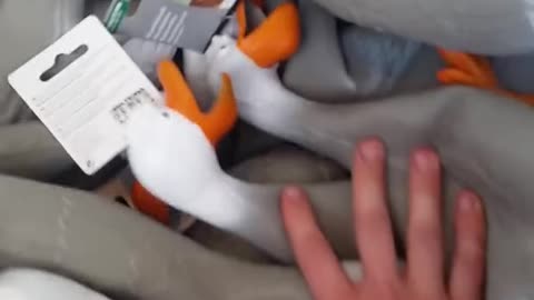 Duck ARMY