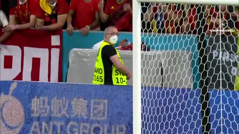 Impossible Goalkeeper Saves Of The Year