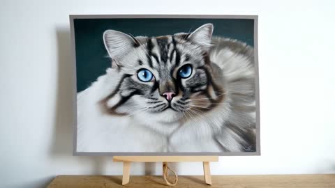 Cute Cat Drawing, Animal Art