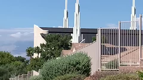 Butterfly east of the Las Vegas Nevada temple.