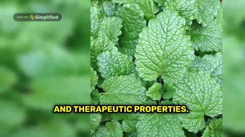 Health Benefit of Mint Leaves