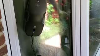 Window / Floor Cleaning Robots