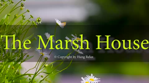 Beautiful Relaxing Music - "The Marsh House"