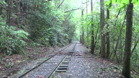 Obstacles On The Track On The ET&WNC After A Storm 8-30-22