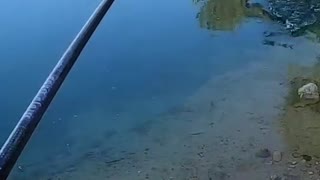 Double fish in same time!! Lucky fishing