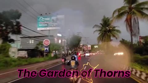 The Garden of Thorns