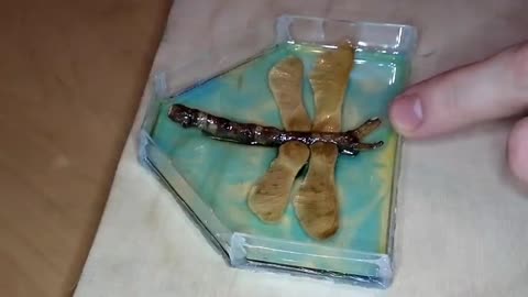 DragonFly in Epoxy Resin. DIY ART RESIN