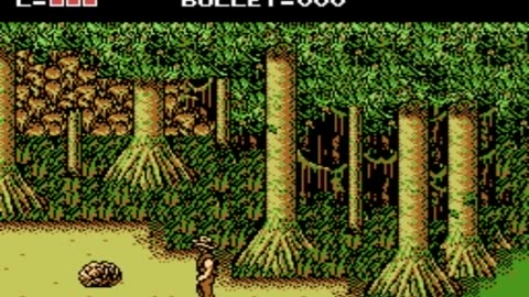 The Adventures of Bayou Billy (NES)