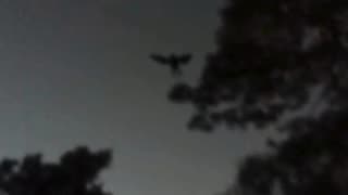 Jaw-Dropping Mothman Sighting in Point Pleasant, WV!