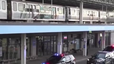 4 people found shot dead on a Chicago Transit Authority train in Forest Park