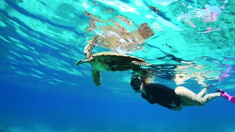 Swimming with a turtle