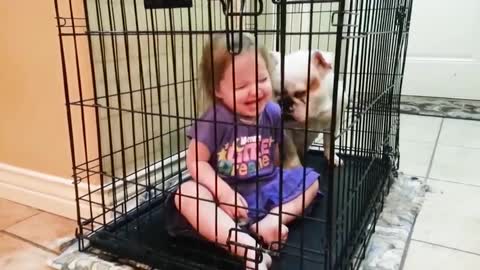 Cute Dogs and Babies are Best Freinds