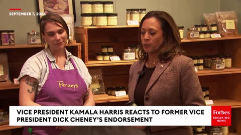 BREAKING NEWS: Kamala Harris Reacts To Getting Dick Cheney's Support