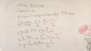 Amine formations