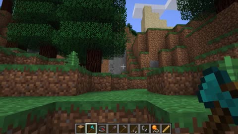 Minecraft vanilla skin version 1.17.1_Shorts_4