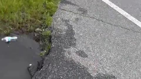 Man Scores Entire Dropped Pallet Of Bottled Water