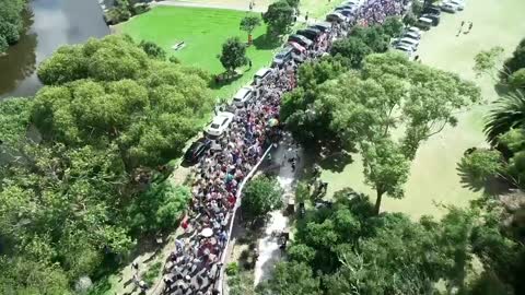 Auckland New Zealand Protests against Vaccine Mandates!