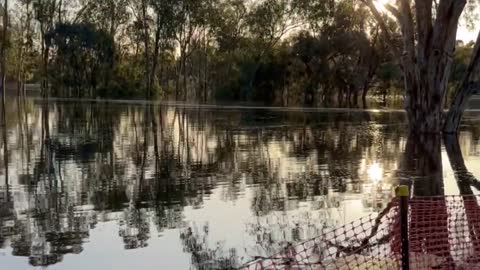 Mildura Floods 2022 - Mildura to Gol Gol 29_11_2022