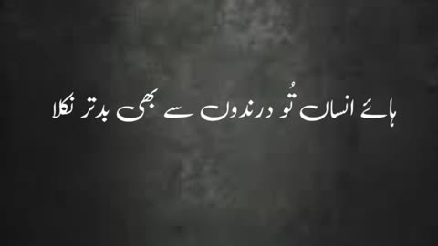 Hayyy Insan ....... Urdu poetry states shayari